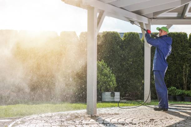 Best Driveway Pressure Washing  in Kualapuu, HI